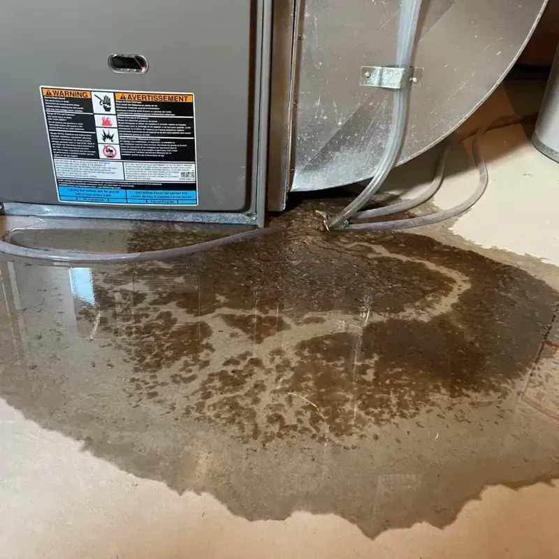 Appliance Leak Cleanup in Chino Hills, CA